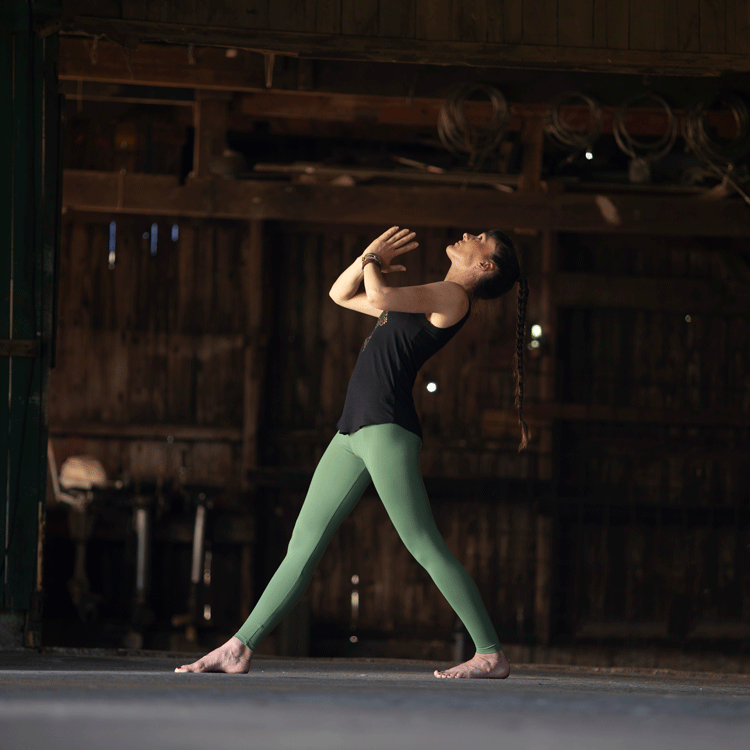 Vinyasa-Yoga-1