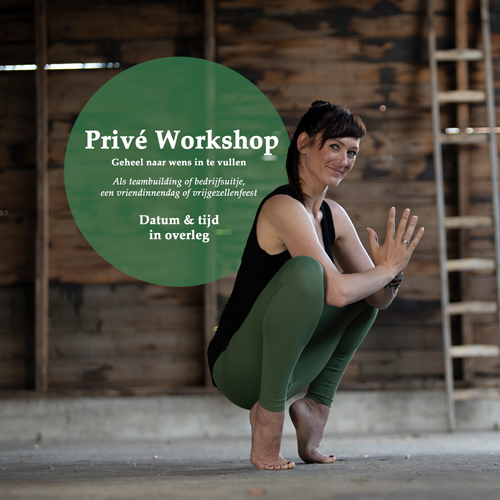 prive-workshop