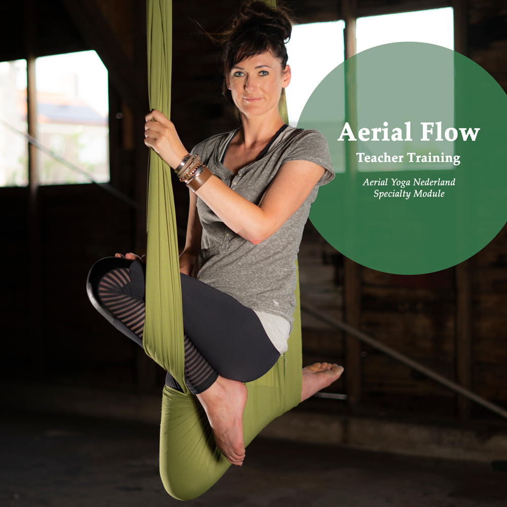 Aerial-Flow-TT Aerial Yoga Flow Teacher Training, Angela Yoga,