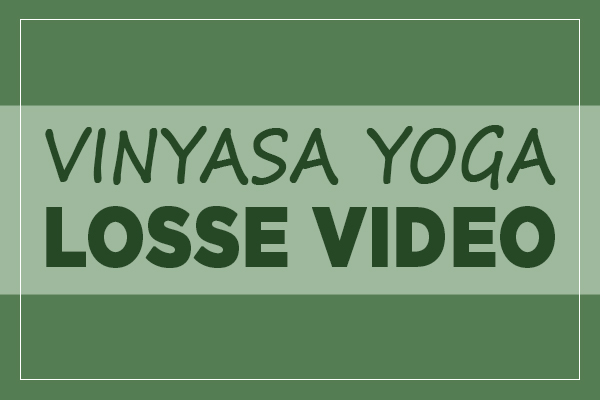 Online Yoga, Yogales, Yoga Online, Angela Yoga, Yoga Friesland, vinyasa yoga,
