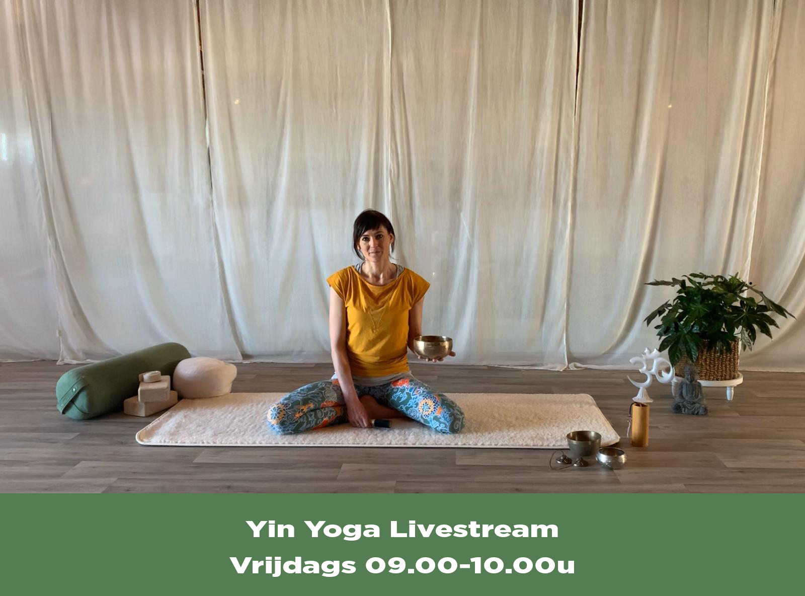 Yin Yoga Livestream yin yoga, online yoga, yoga online, livestream yoga, angela yoga, yoga friesland,