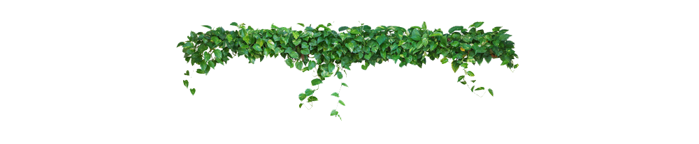 plant-divider2