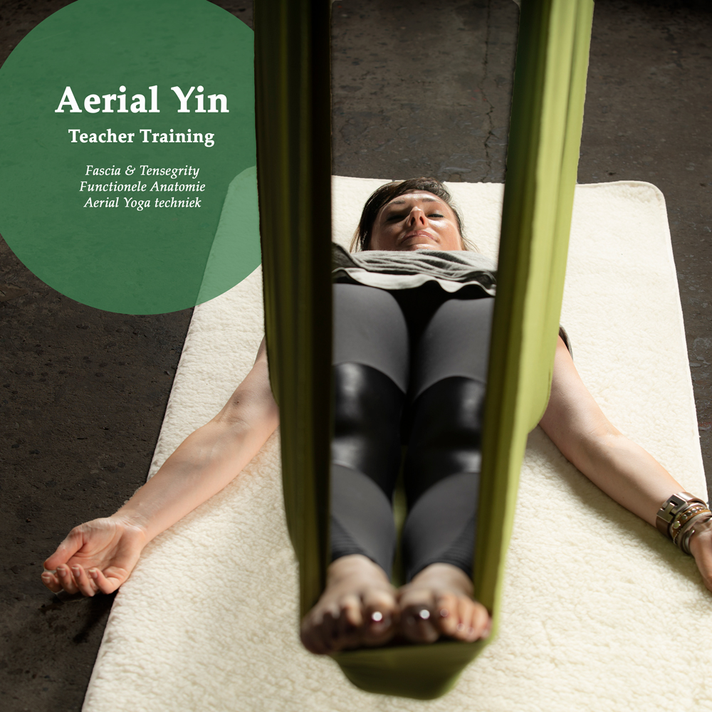 Aerial-Yin-&-Relax—Fascia Aerial Yin, Teacher Training, Fascia & Tensegrity, Functionele Anatomie, Aerial Yoga techniek