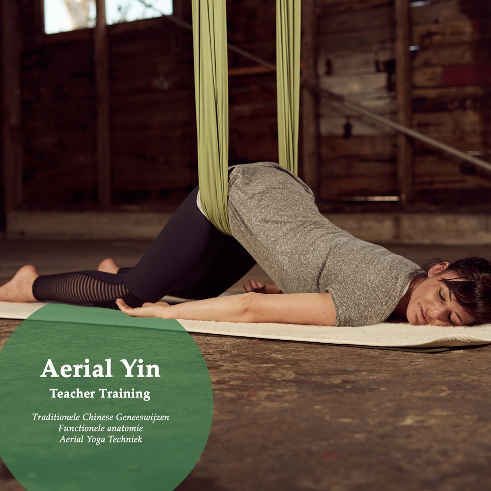 Aerial-Yin-&-Relax—TCM Aerial Yin, Teacher Training, TCM, Traditionele Chinese Geneeswijzen, Functionele Anatomie, Aerial Yoga techniek
