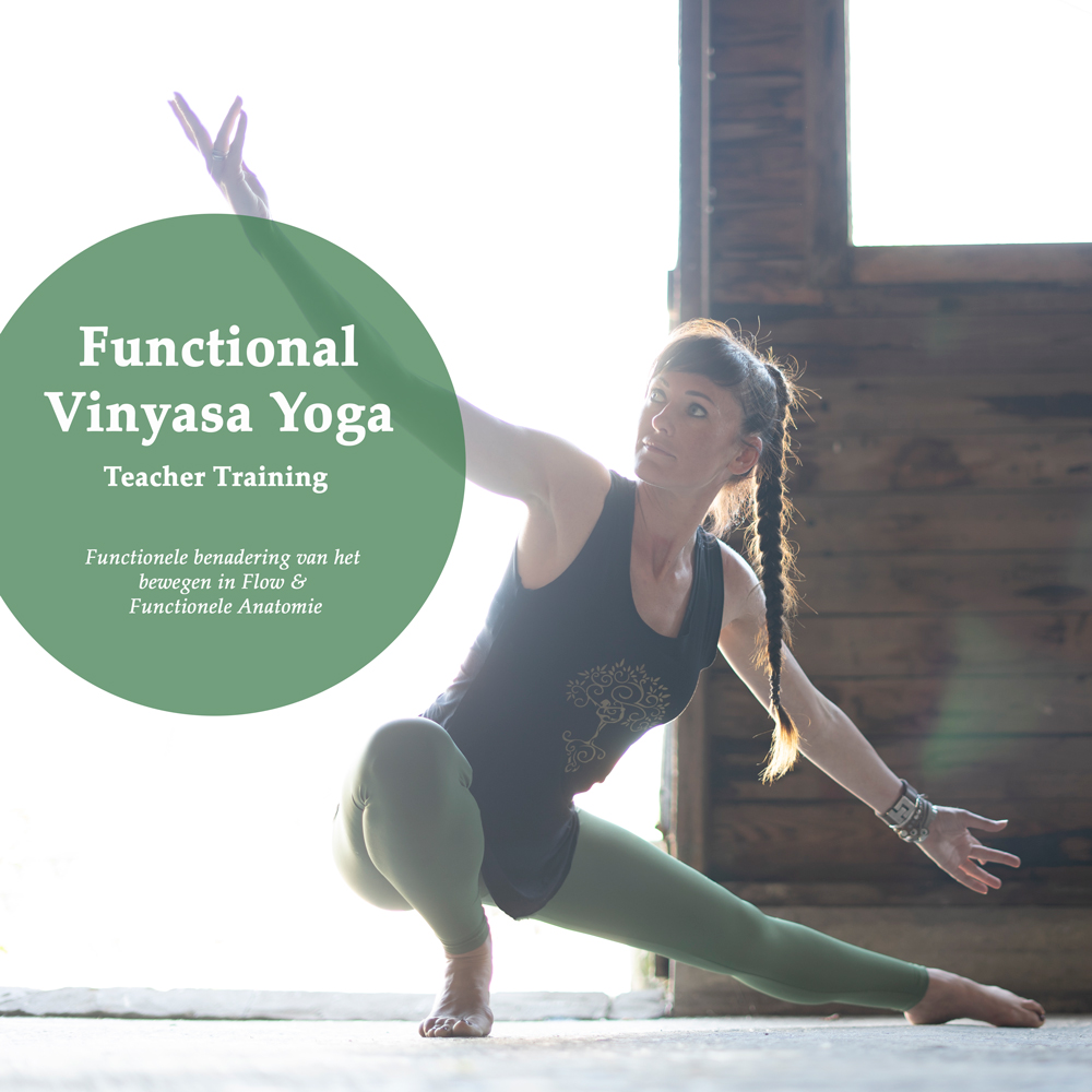DSC08353 Functional Vinyasa Yoga Teacher Training, Angela Yoga