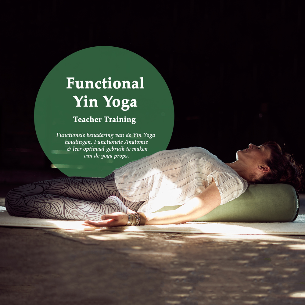 Functional-Yin Functional Yin Yoga Teacher Training, Angela Yoga
