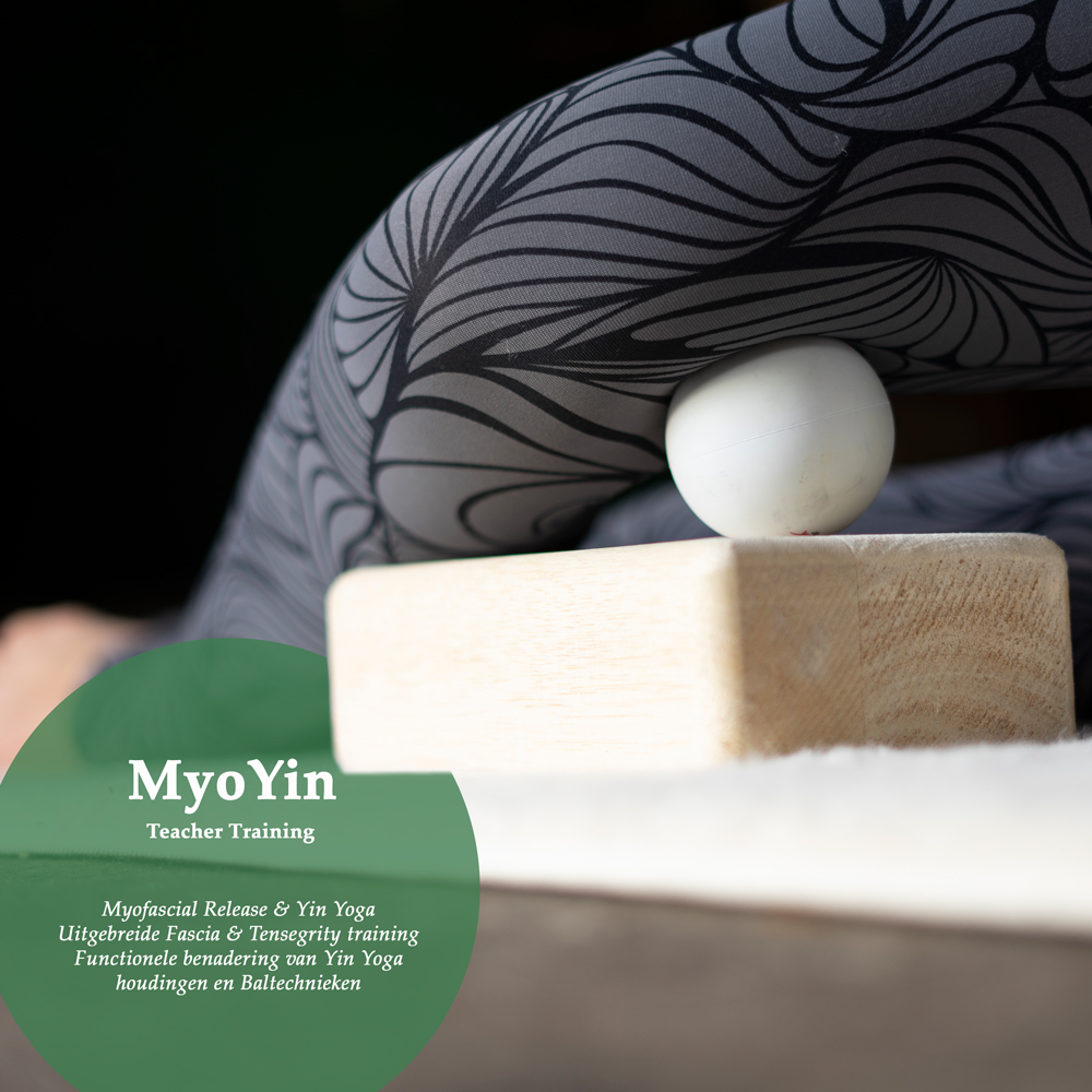 TT MyoYin, MFR, Yin Yoga, Teacher Training, Angela Yoga