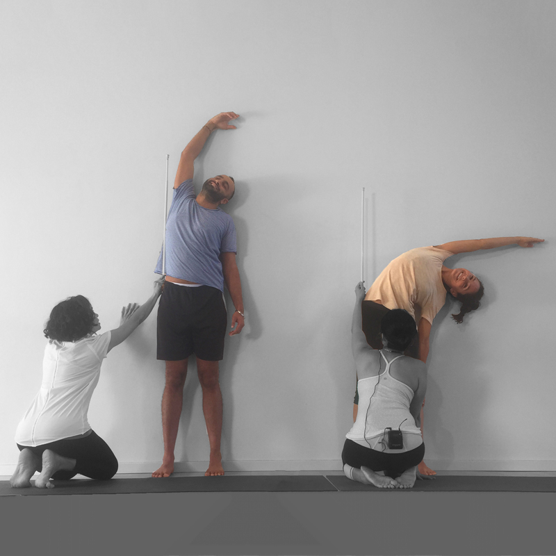 Functional-Anatomy