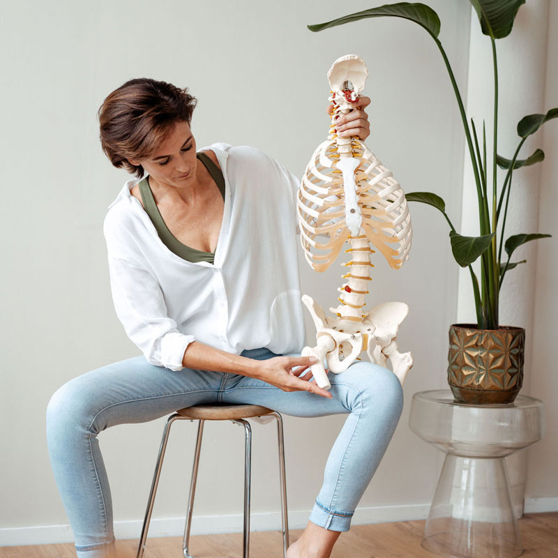 Functional Anatomy Yoga Teacher Training