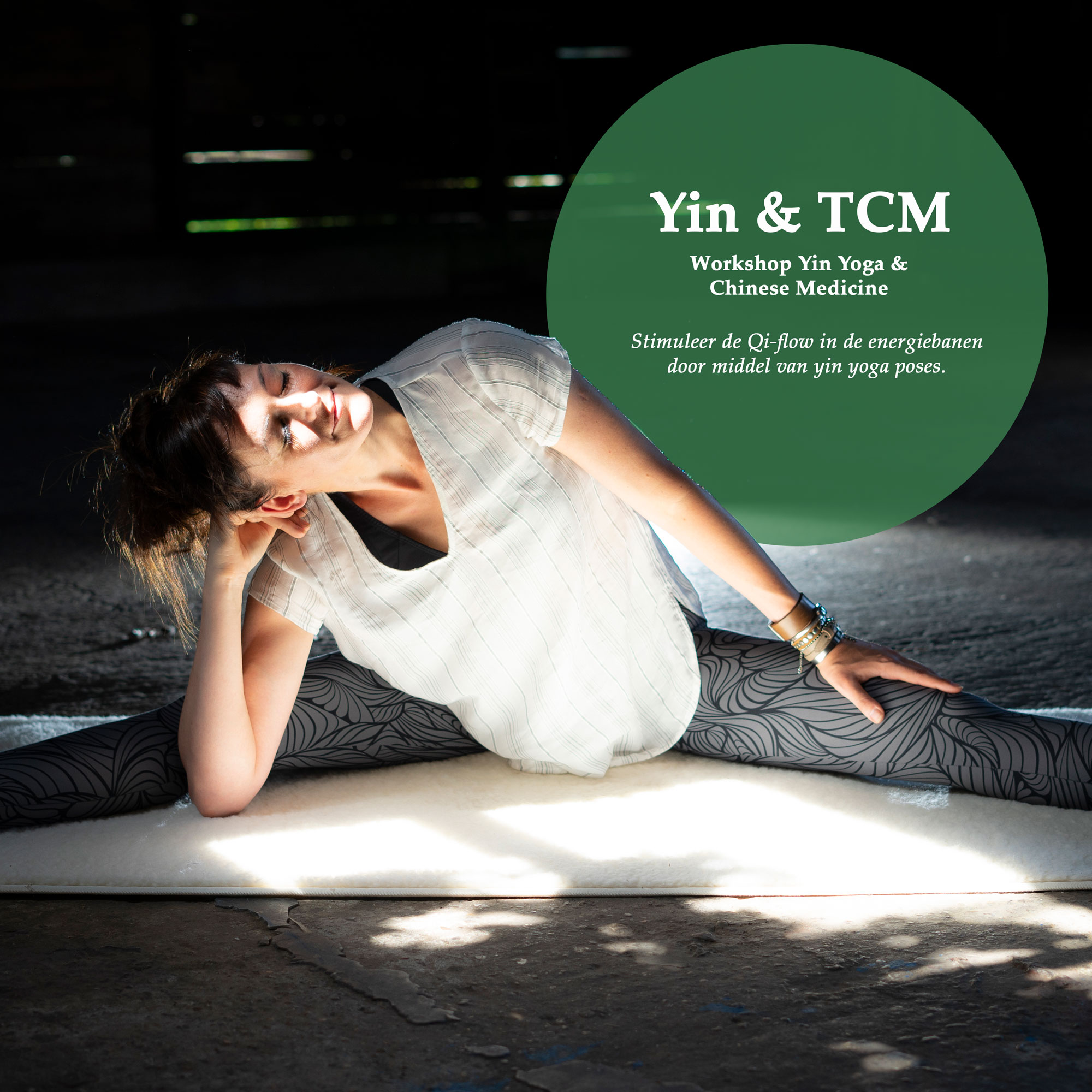 Yin Yoga, TCM, workshop, yogaworkshop, yoga training, angelayoga, yoga friesland